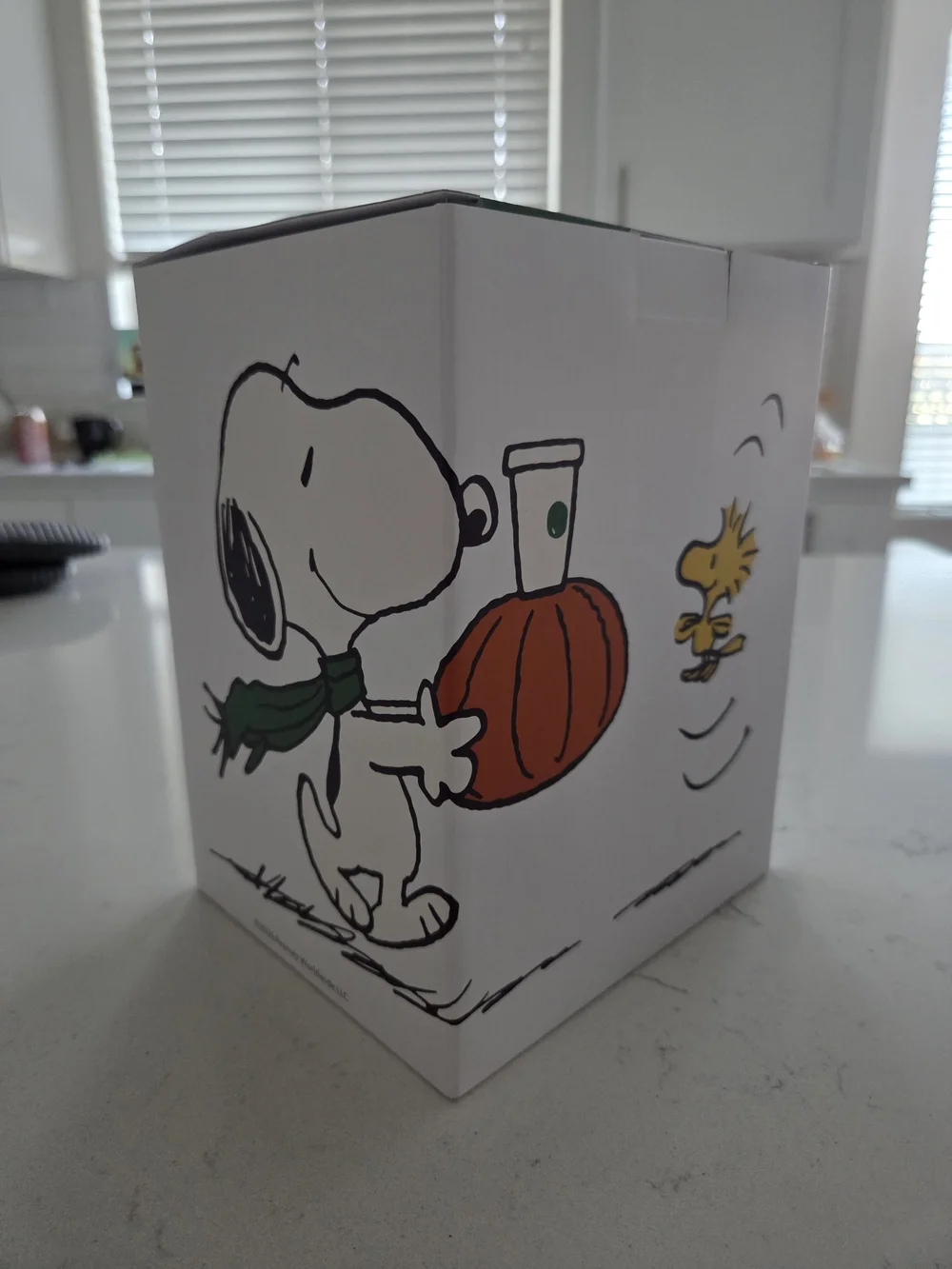 Starbucks x Peanuts White Snoopy Plush in Branded Box